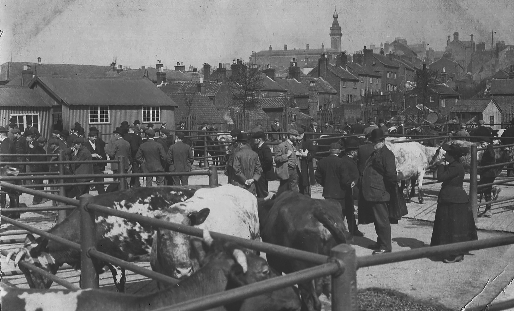 Cattle Market and the Dog Kennels
